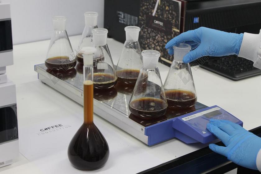 实验室 咖啡 咖啡因 分析 质量 咨询