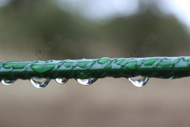 绿色健身自然清新雨后公园双杠上滴水的横梁摄影照背景图片