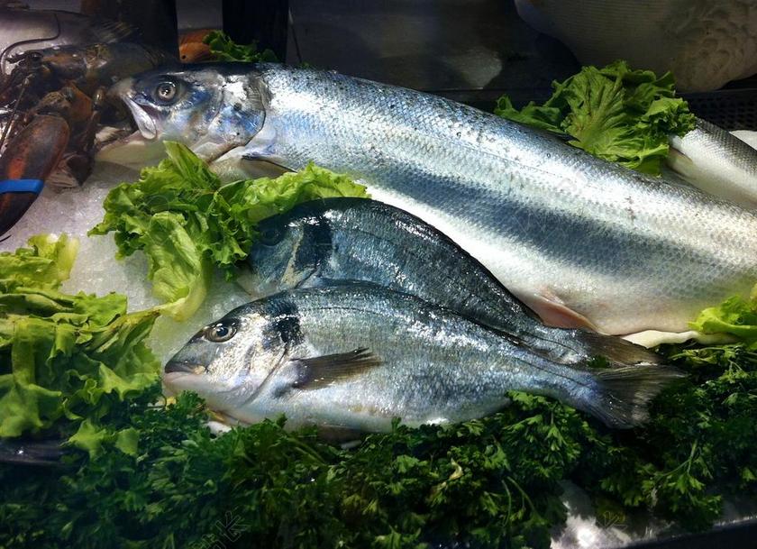 鱼 意大利 盘片 海鲜 海 食品 健康 海洋 咸水 美食