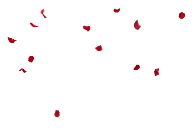 红色悬浮花瓣素材