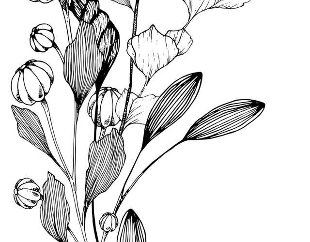 简约黑白镂空韩风插图花朵