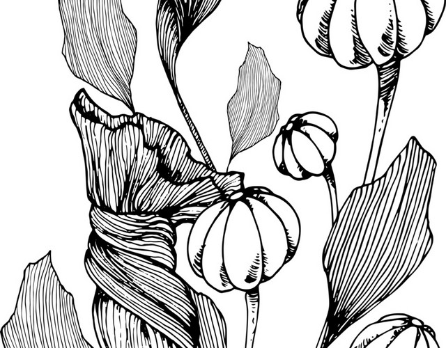 简约黑白镂空韩风插图花植物
