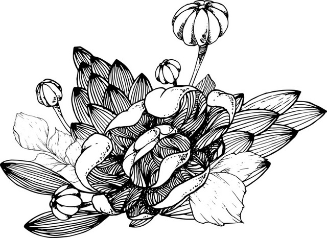 简约黑白镂空韩风插图花卉花朵