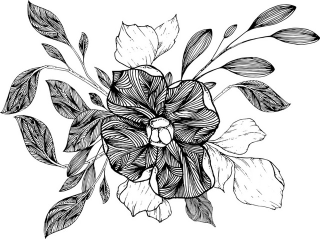 简约黑白镂空韩风插图花植物
