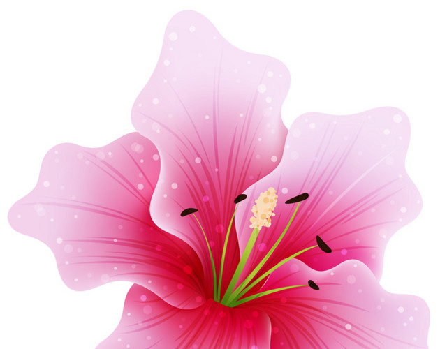 粉色水彩花瓣花朵素材