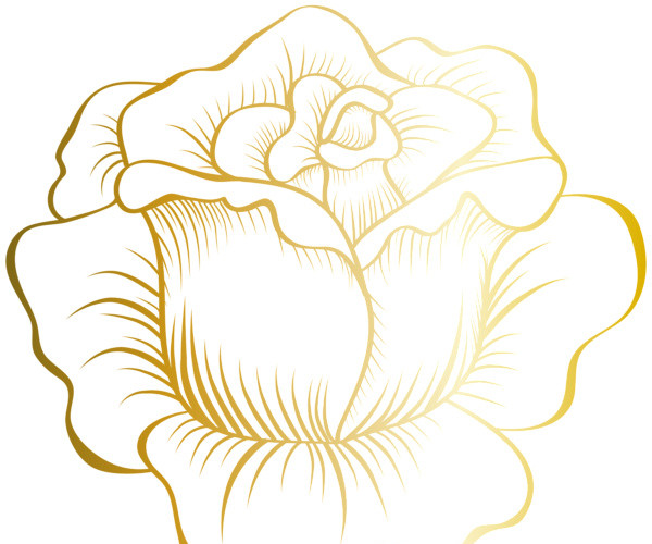 手绘风花瓣花朵素材