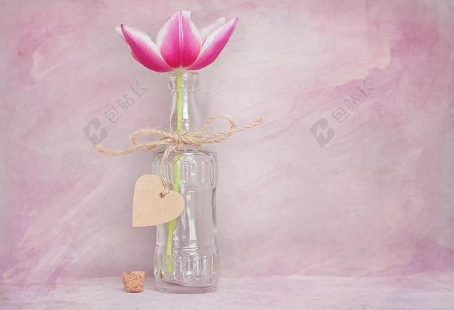 粉色广告唯美甜蜜郁金香花开宣传背景图片