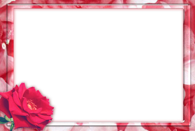月季花边贵气边框素材