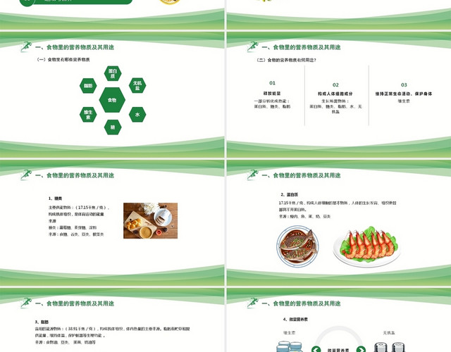 绿色简约清新体育运动与营养运动与营养研究PPT模板