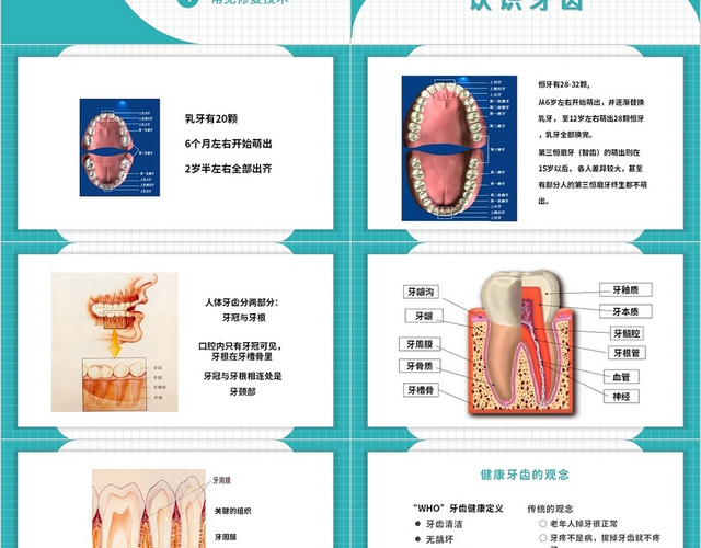 绿色医疗口腔健康护理口腔健康讲座PPT模板