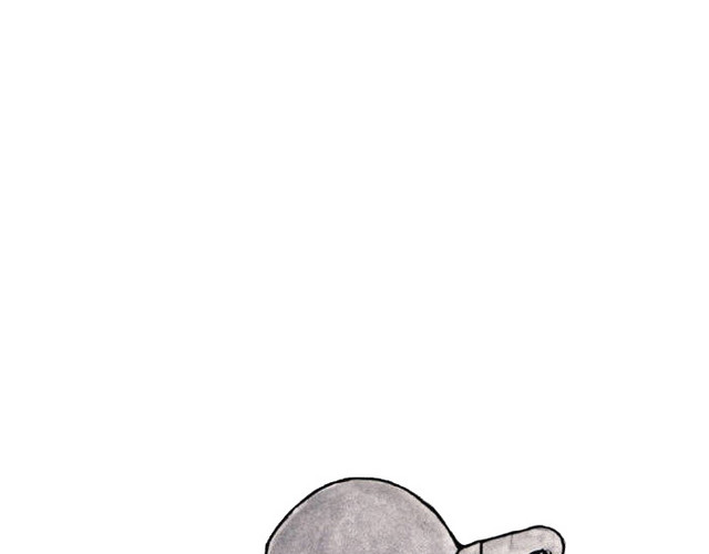 动物素材