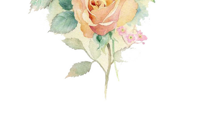 彩绘花束玫瑰花素材