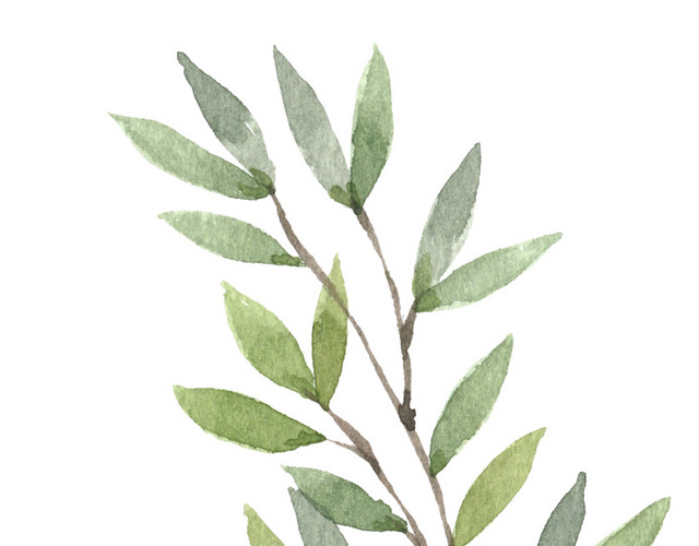卡通手绘清新叶子植物素材