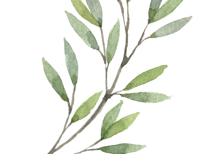 卡通手绘清新叶子植物素材