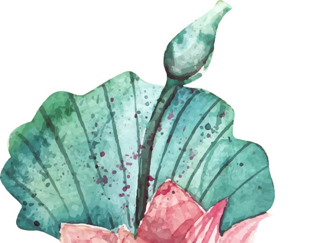 中国风手绘清新夏季荷花荷叶素材