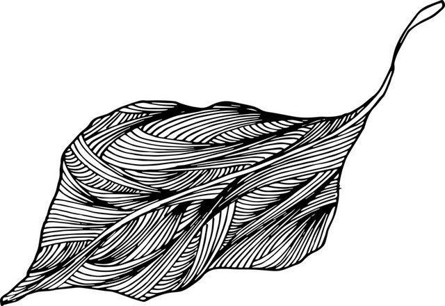 简约黑白镂空韩风插图树叶