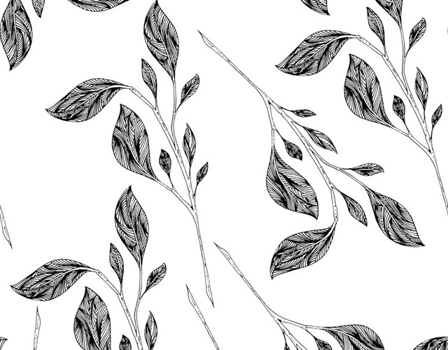 简约黑白镂空韩风插图花卉树叶