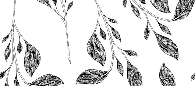 简约黑白镂空韩风插图花卉树叶