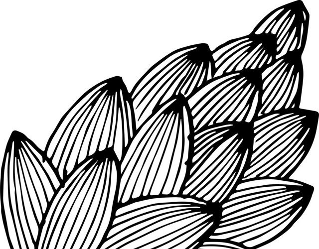 简约黑白镂空韩风插图瓜子
