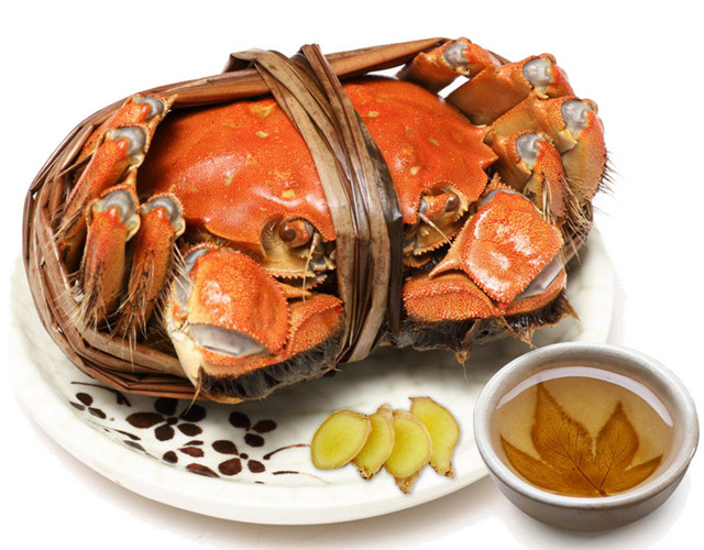 特色秋季秋天美食阳澄湖大闸蟹螃蟹插画配图