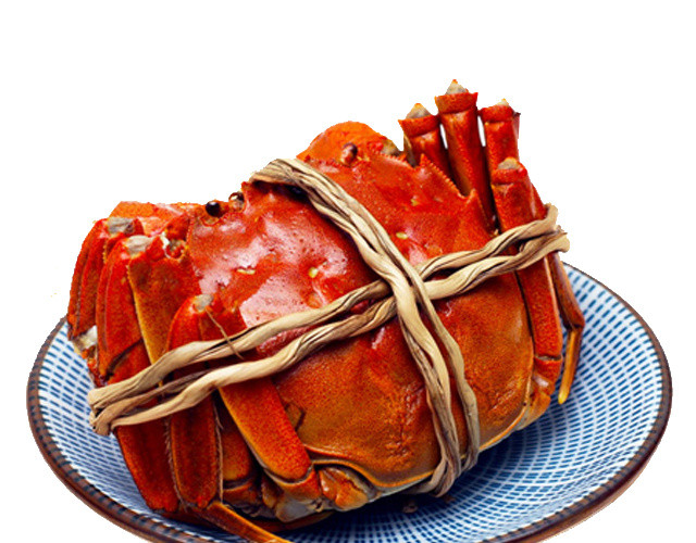 特色秋季秋天美食阳澄湖大闸蟹螃蟹插画配图
