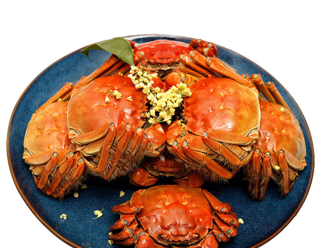 特色秋季秋天美食阳澄湖大闸蟹螃蟹插画配图