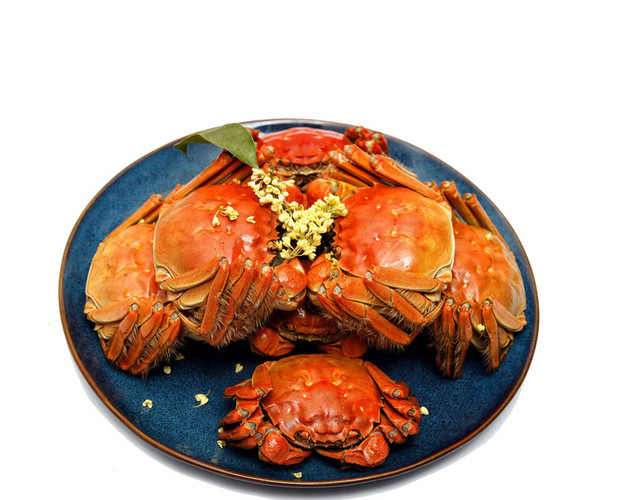 特色秋季秋天美食阳澄湖大闸蟹螃蟹插画配图