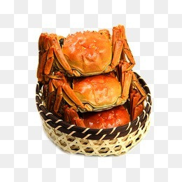特色秋季秋天美食阳澄湖大闸蟹螃蟹插画配图
