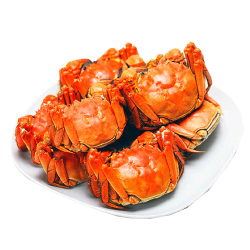 特色秋季秋天美食阳澄湖大闸蟹螃蟹插画配图