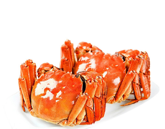 特色秋季秋天美食阳澄湖大闸蟹螃蟹插画配图