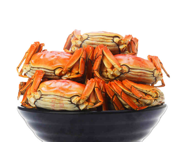 特色秋季秋天美食阳澄湖大闸蟹螃蟹插画配图