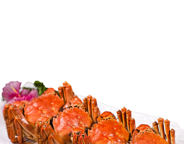 特色秋季秋天美食阳澄湖大闸蟹螃蟹插画配图