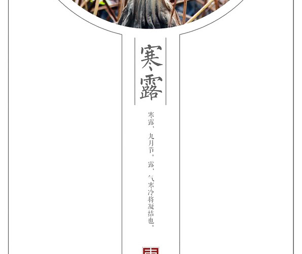 文艺二十四节气寒露海报设计