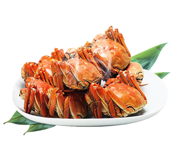 特色秋季秋天美食阳澄湖大闸蟹螃蟹插画配图