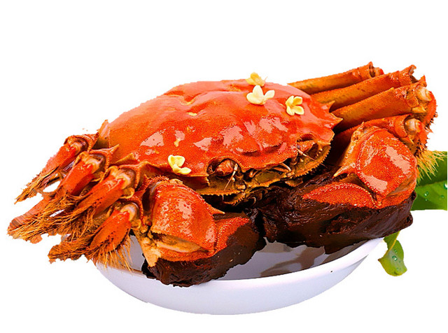 特色秋季秋天美食阳澄湖大闸蟹螃蟹插画配图
