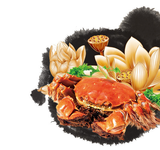特色秋季秋天美食阳澄湖大闸蟹螃蟹插画配图海鲜