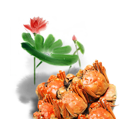 特色秋季秋天美食阳澄湖大闸蟹螃蟹插画配图