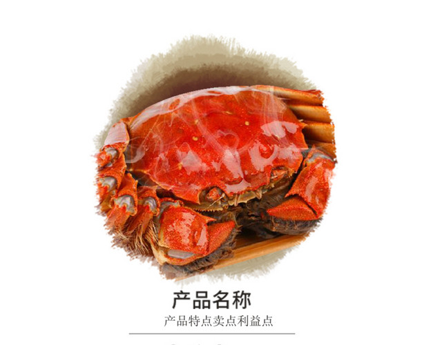 特色秋季秋天美食阳澄湖大闸蟹螃蟹插画配图
