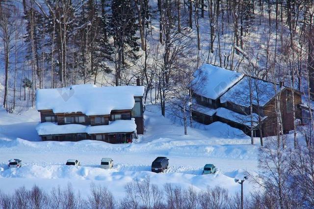 神奇 不知道 美丽 令人惊叹 雪 视图 眼 星野 度假村