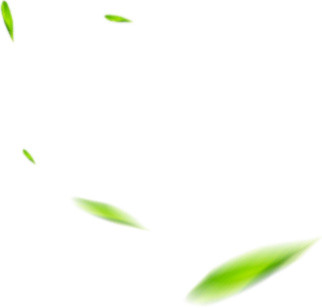 卡通手绘清新叶子植物素材