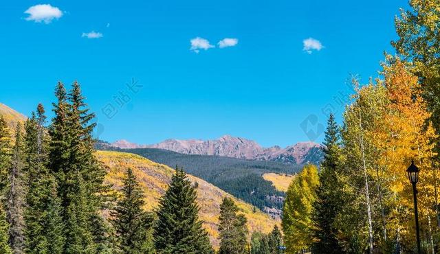 旅游自然清新山间林木宣传背景图片