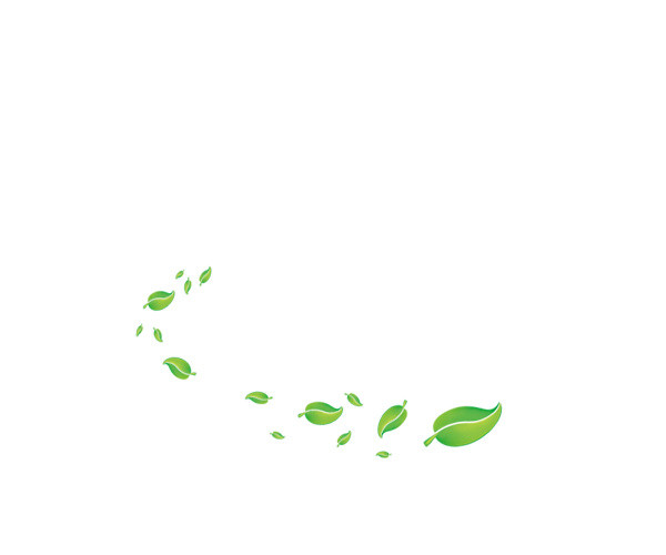 卡通清新叶子植物素材