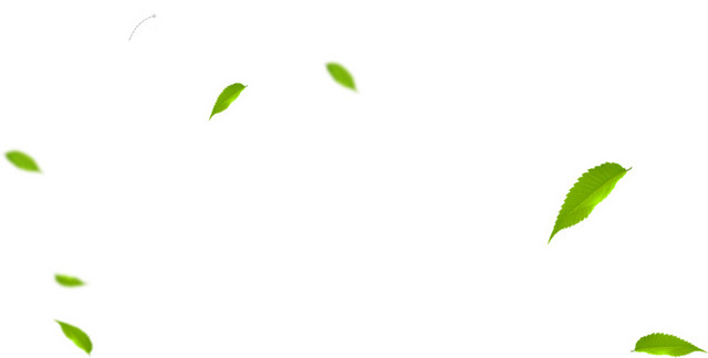 树叶卡通手绘清新叶子植物素材