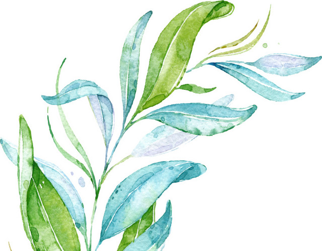 水彩手绘清新叶子植物素材