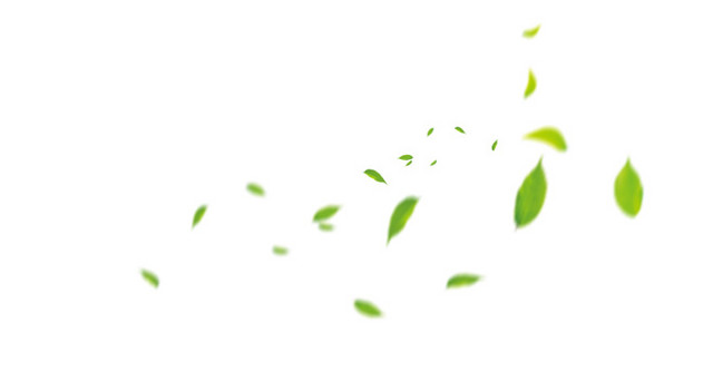 树叶卡通清新叶子植物素材