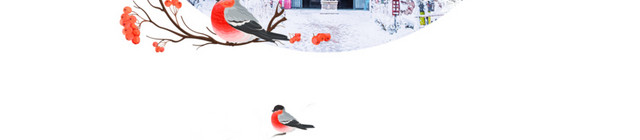 节气大雪