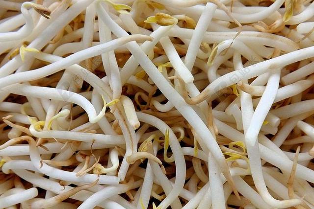 绿豆 黄豆 苗 食品