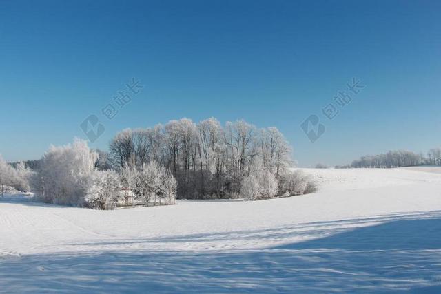 雪 冬天 景观 寒冬 蓝蓝的天空 雪草甸