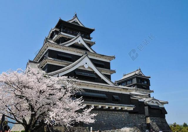 白色旅游浪漫唯美樱花城楼宣传 背景图片