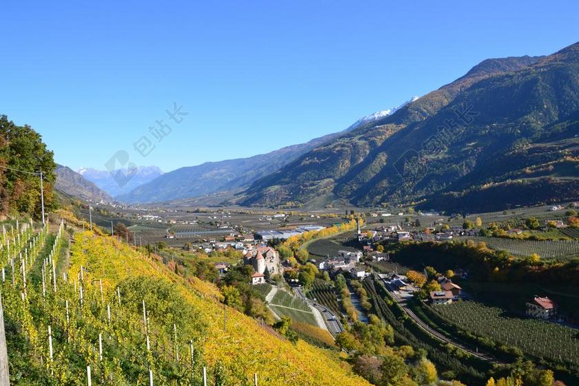 秋季 树 金色的秋天 山 南蒂罗尔 远足 叶子 性质 金